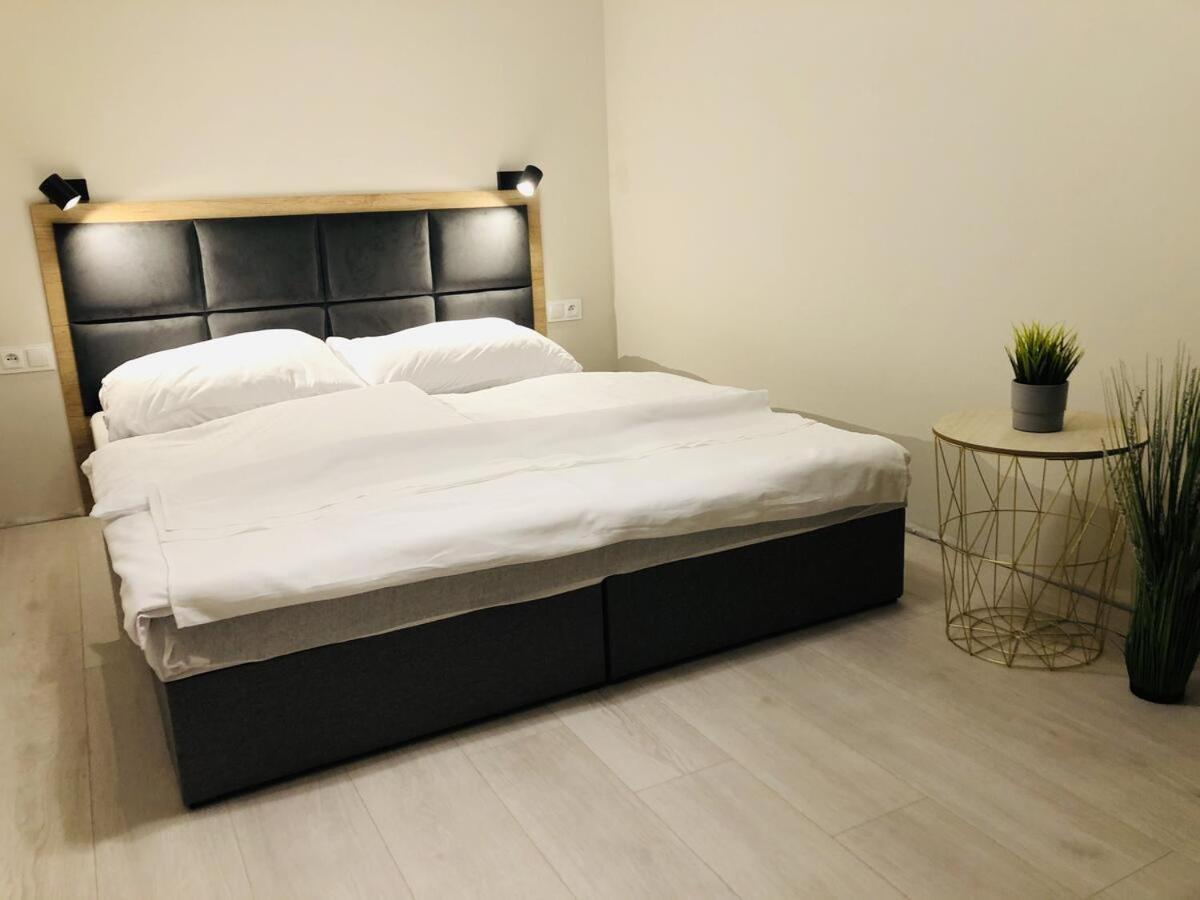 Apartament Mierzyn Miedzychod エクステリア 写真